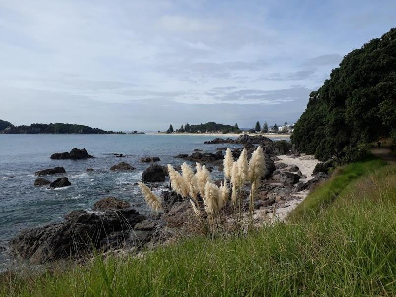 Downtown Mount B And B Mount Maunganui Zewnętrze zdjęcie